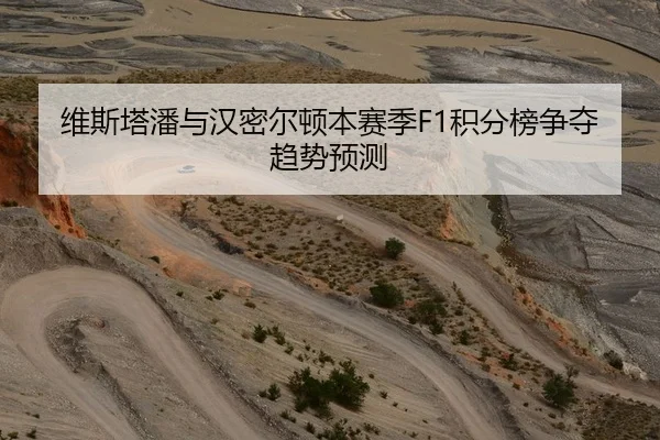 维斯塔潘与汉密尔顿本赛季F1积分榜争夺趋势预测（loltouzhu）